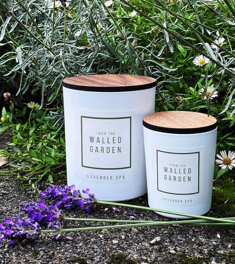 lavender spa candle - fromthewalledgarden