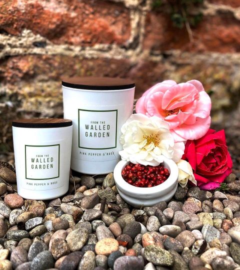 pink pepper and rose