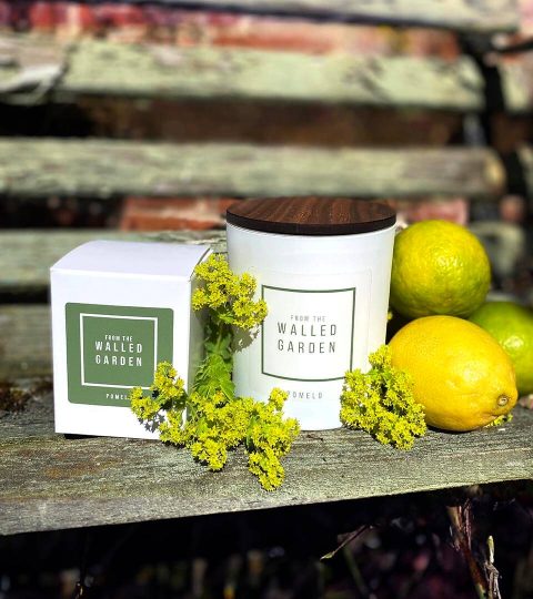pomelo candle - fromthewalledgarden