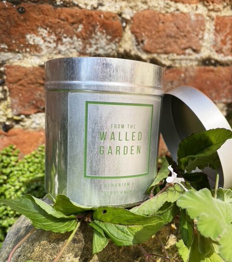 Geranium Peppermint Candle - From The Walled Garden