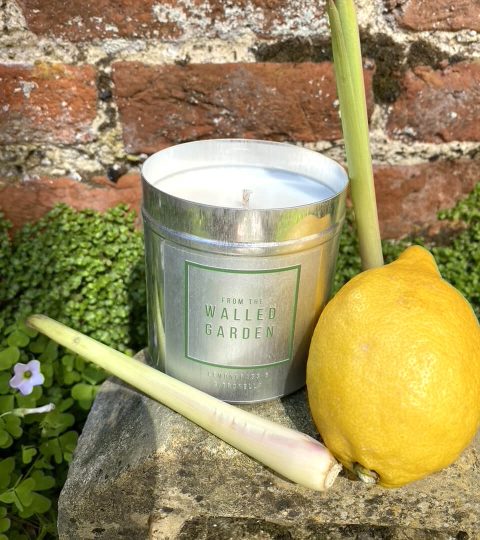 Lemongrass Citronella Candle - From The Walled Garden