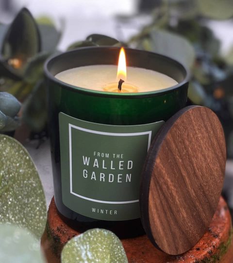 Winter Candle - From The Walled Garden